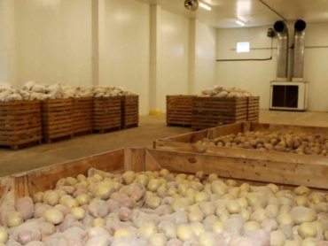 В Украине катастрофически не хватает современных картофелехранилищ